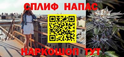 Альфа ПВП Камышлов