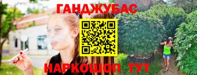 Альфа ПВП Камышлов