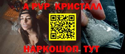 амф Кандалакша